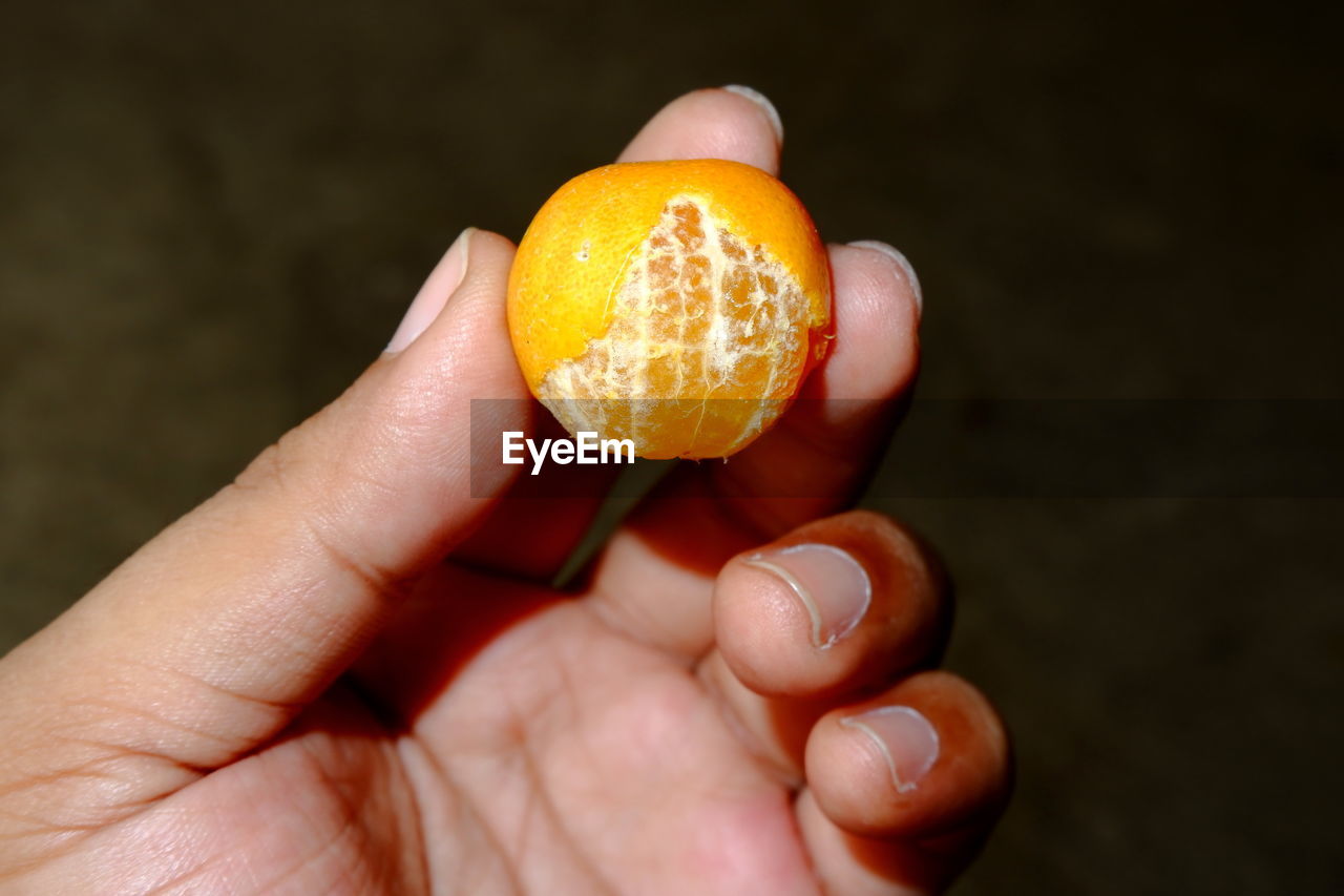 CLOSE-UP OF PERSON HAND HOLDING APPLE