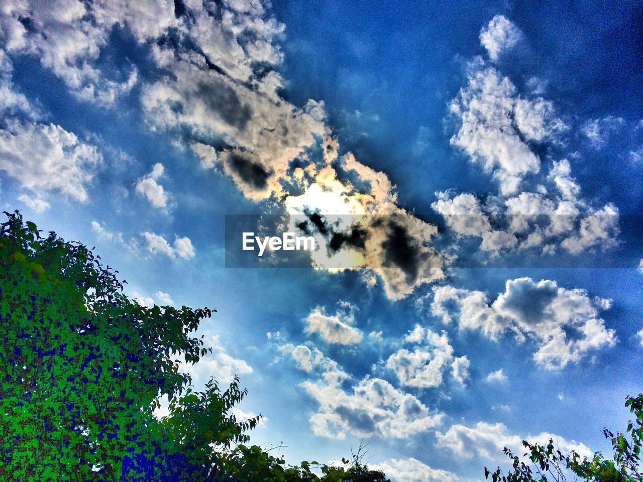 LOW ANGLE VIEW OF TREES AGAINST CLOUDY SKY