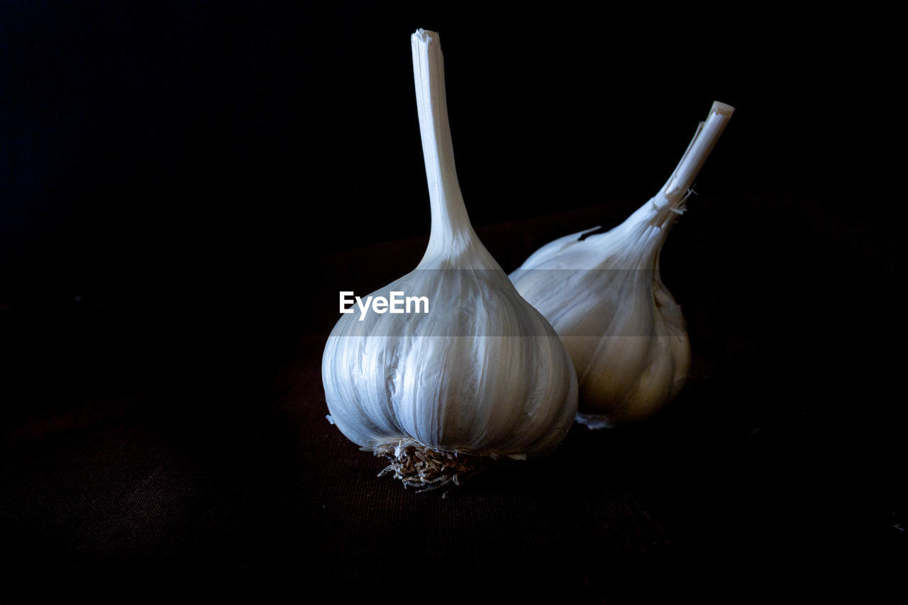 Close-up of garlic against black background