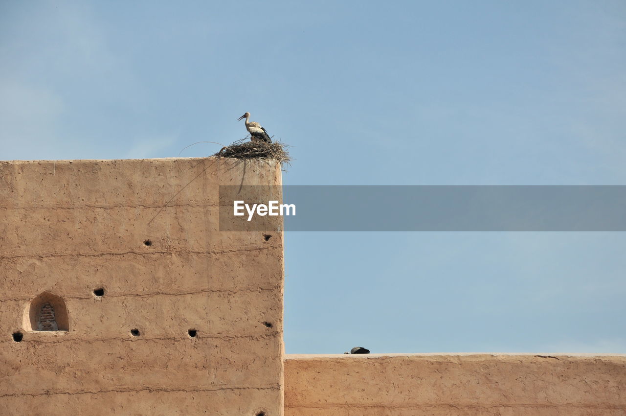Low angle view of stork in nest on building against blue sky