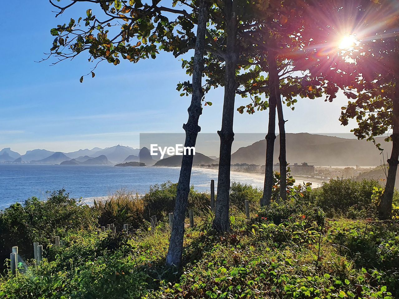 SCENIC VIEW OF SEA AND TREES AGAINST SKY