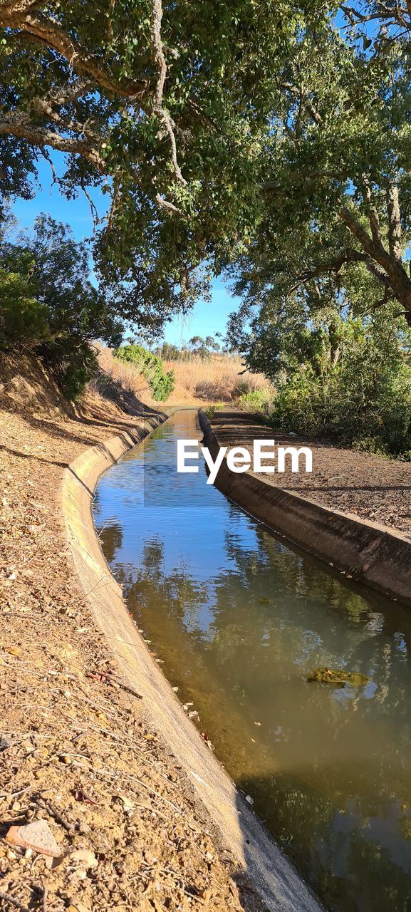 CANAL AMIDST TREES IN FOREST