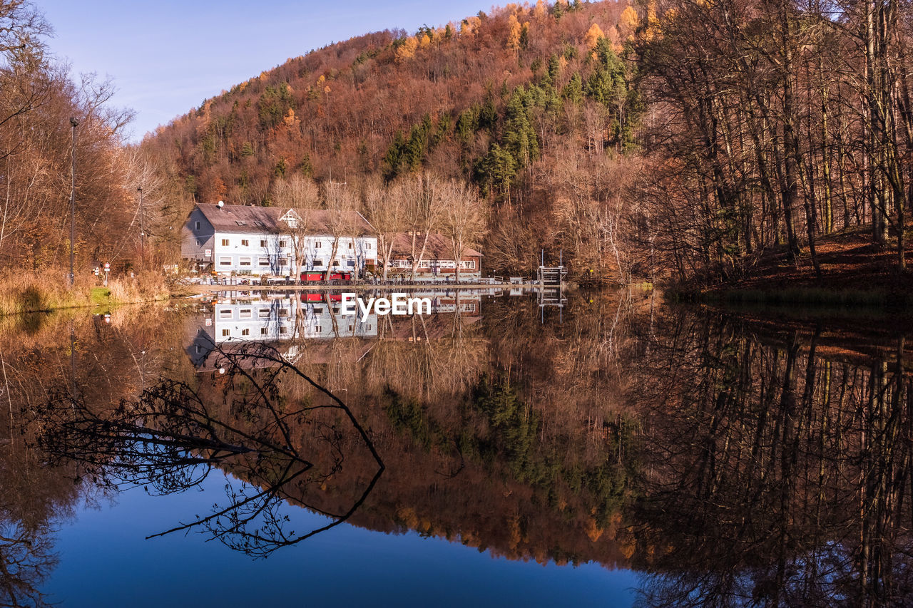 REFLECTION OF TREES IN LAKE AGAINST SKY