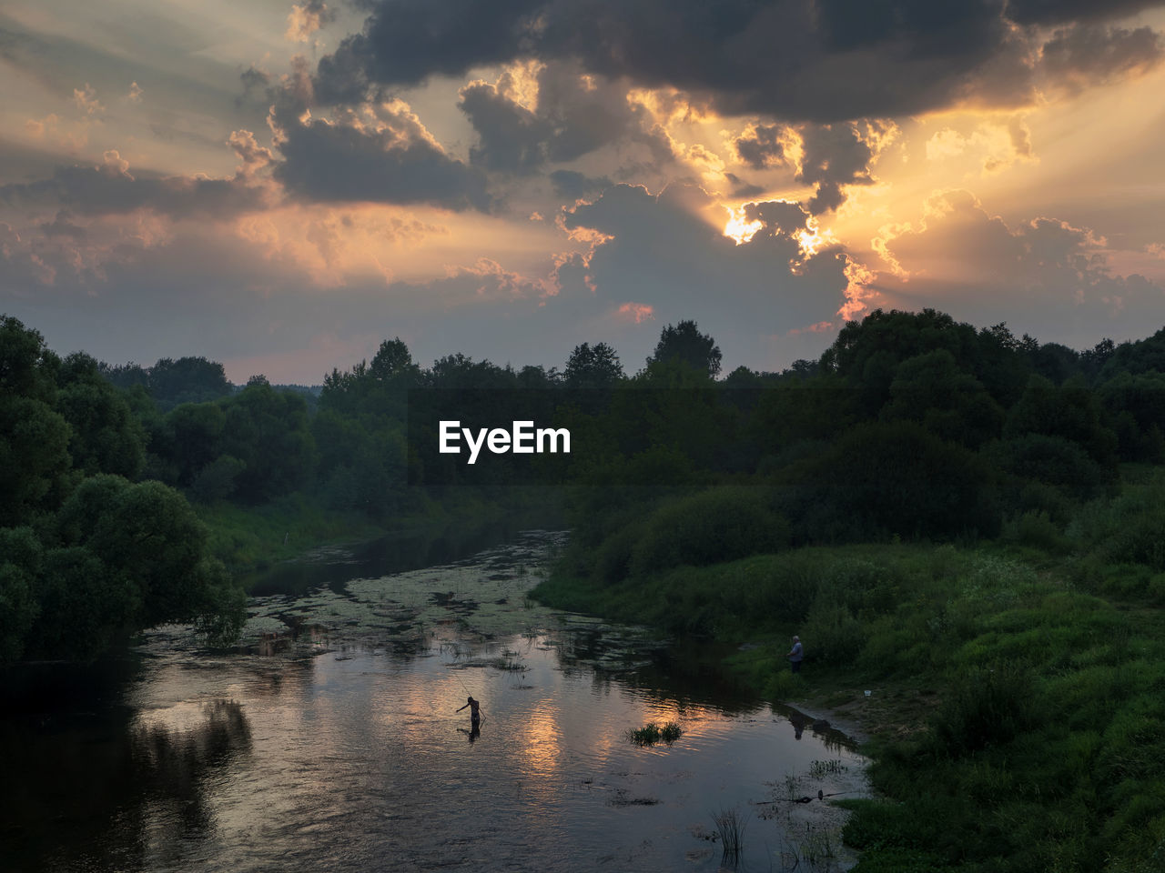 Scenic view of trees growing by dubna river against cloudy sky during sunset