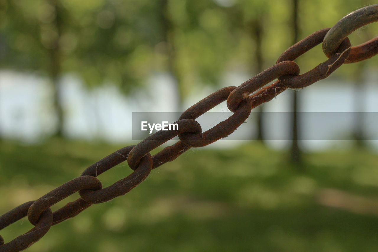 Close-up of rusty chain against trees