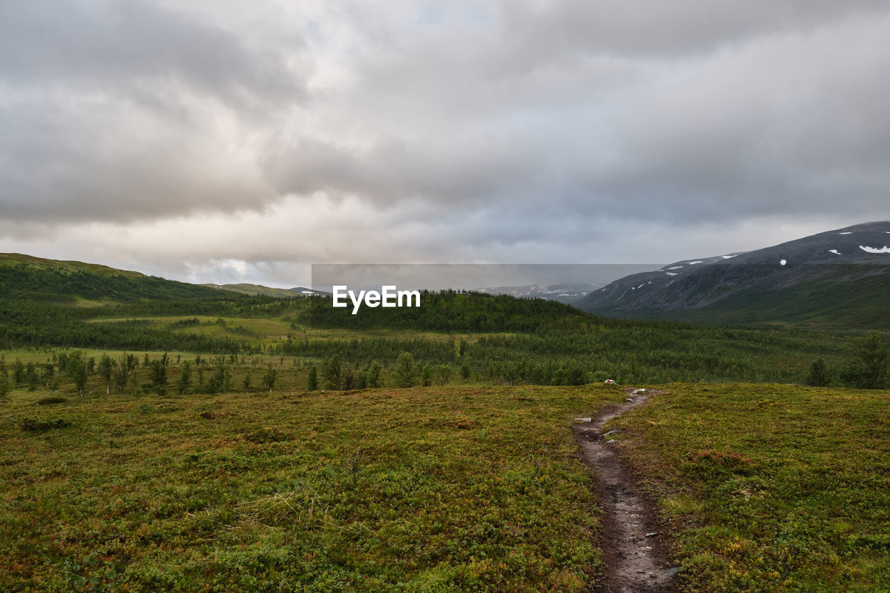 Scenic view of a path into the mountains in norway