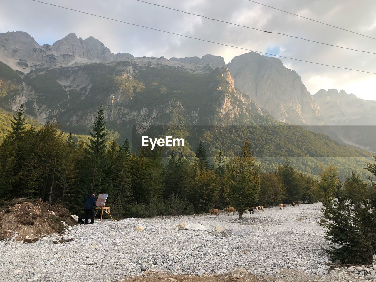 REAR VIEW OF PEOPLE ON LAND AGAINST MOUNTAINS