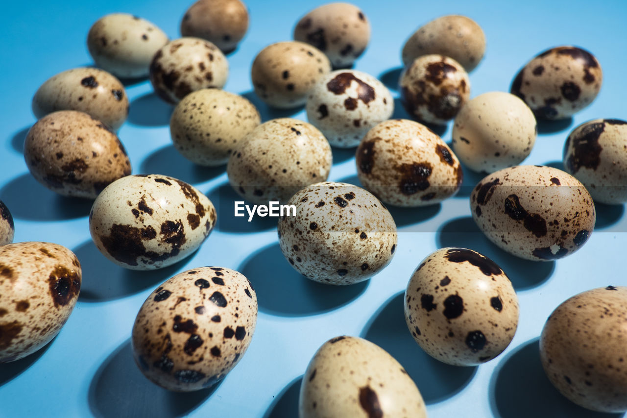 Close up - quail eggs on pastel blue background. minimal happy easter composition..