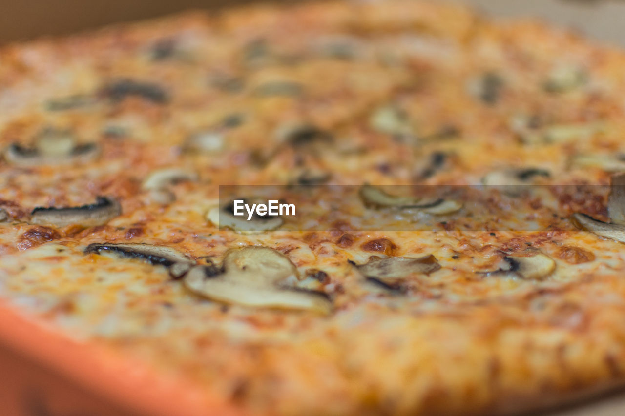 CLOSE-UP OF PIZZA ON PLATE