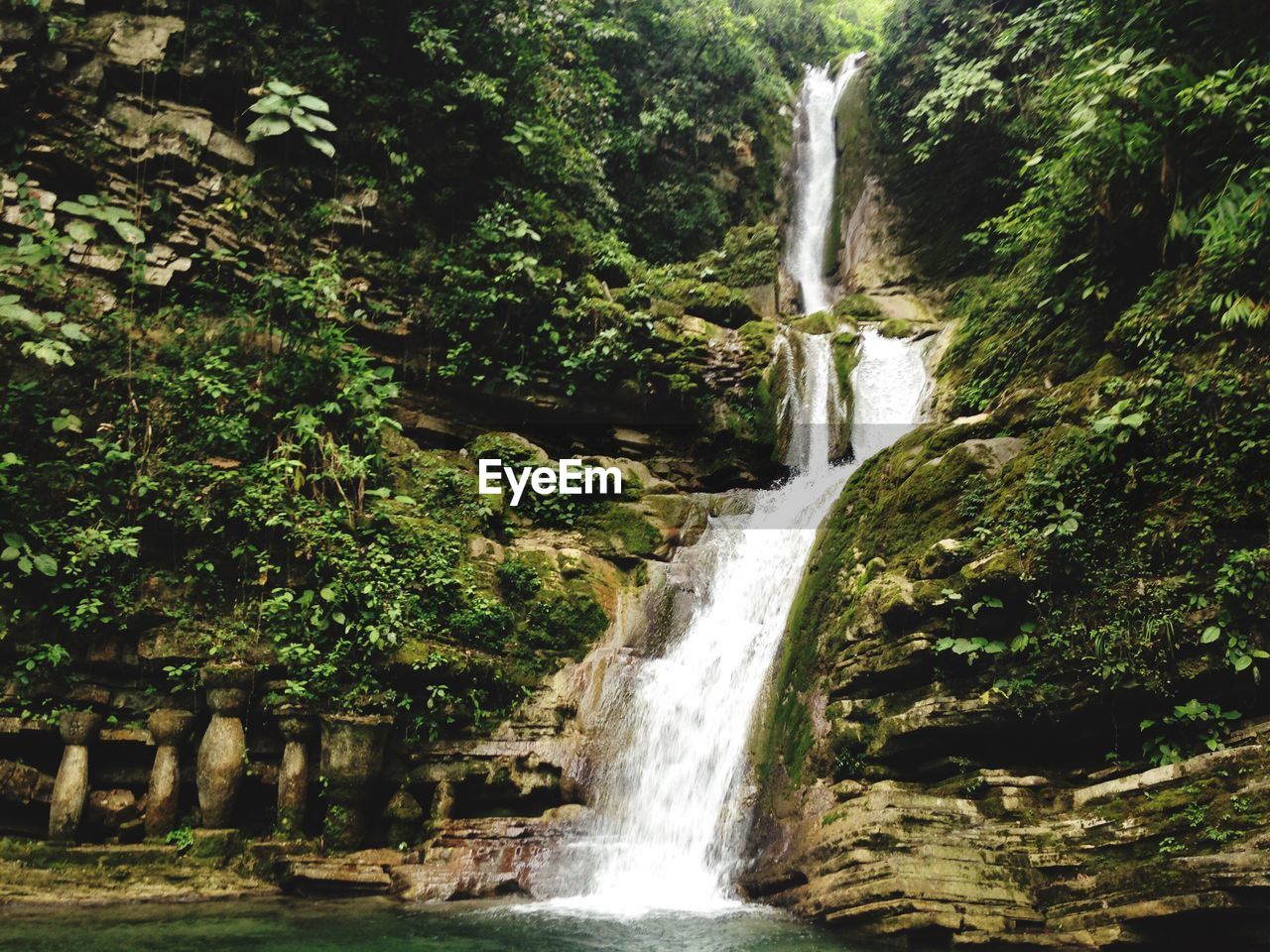 VIEW OF WATERFALL IN FOREST