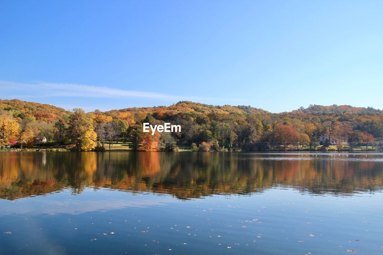 Scenic view of lake by trees against clear sky