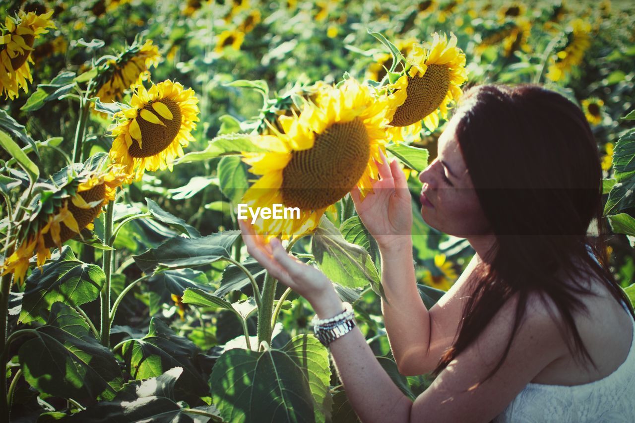 Young woman looking at sunflowers in field