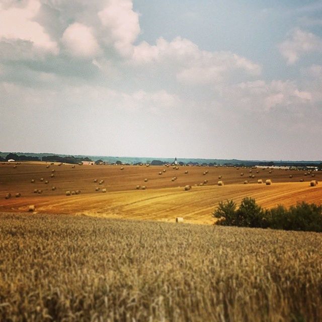 SCENIC VIEW OF LANDSCAPE AGAINST CLOUDY SKY