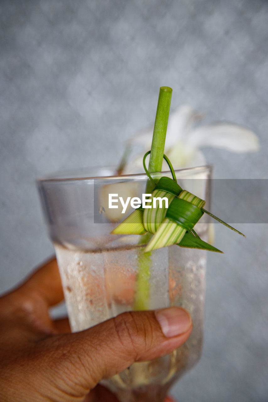 hand, food and drink, holding, refreshment, drink, glass, one person, drinking glass, alcohol, food, household equipment, freshness, close-up, cocktail, herb, healthy eating, produce, indoors, adult, lifestyles, cold temperature, drinking straw, leaf, studio shot, focus on foreground, wellbeing, finger, alcoholic beverage, straw