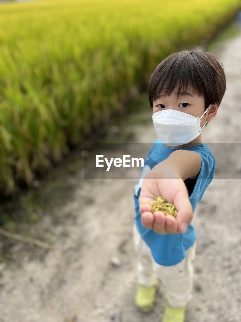childhood, child, one person, toddler, cute, nature, green, plant, men, portrait, full length, innocence, baby, agriculture, outdoors, land, food and drink, environment, holding, dirt, field, landscape, food, rural scene, day, grass, person, looking at camera, casual clothing, yellow