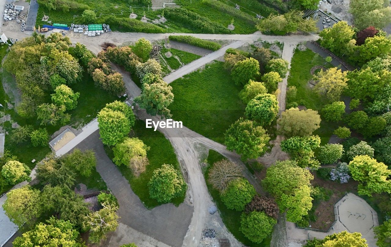 plant, green, high angle view, garden, no people, growth, food and drink, nature, vegetable, day, healthy eating, food, freshness, flower, broccoli, outdoors, tree, wellbeing, beauty in nature, produce, aerial photography, agriculture, aerial view