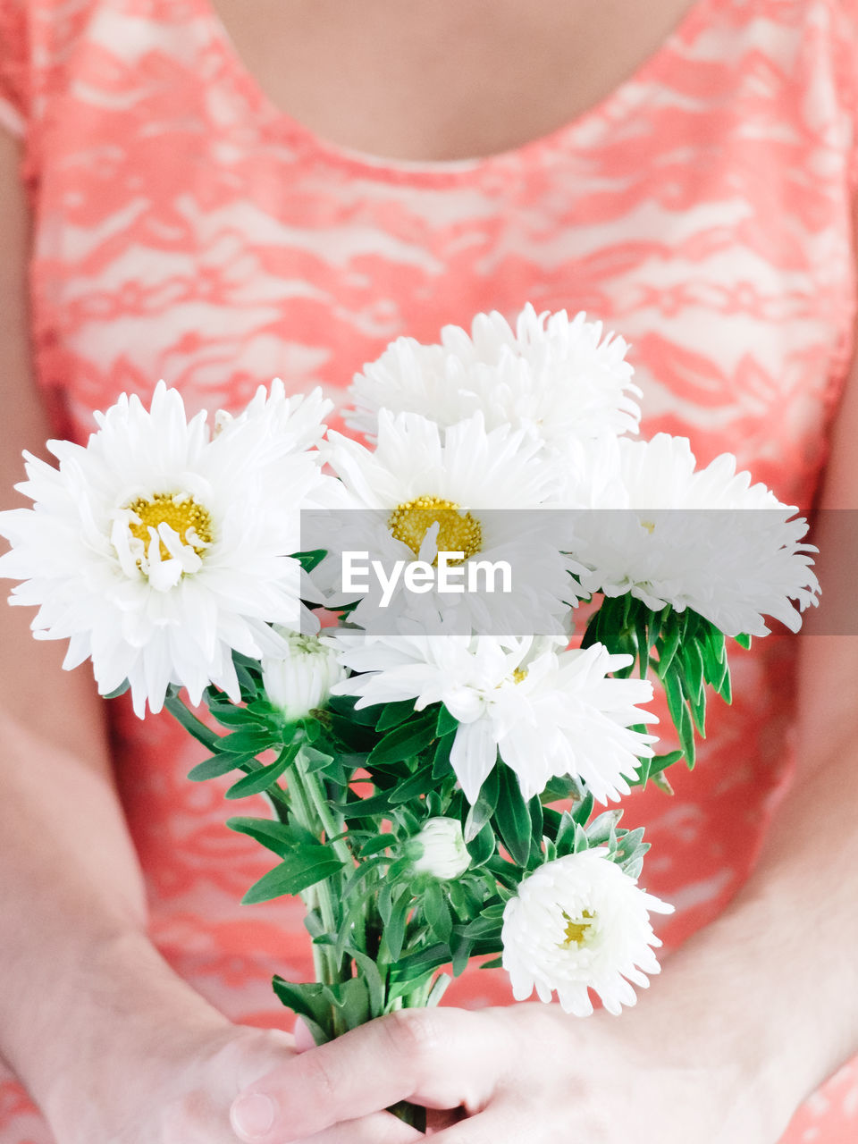 Midsection of woman holding white daisies