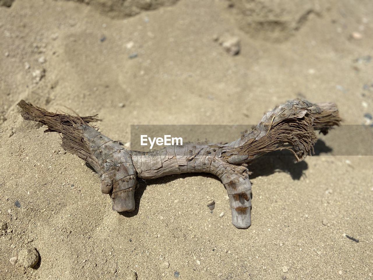 CLOSE-UP OF DRIFTWOOD ON SAND