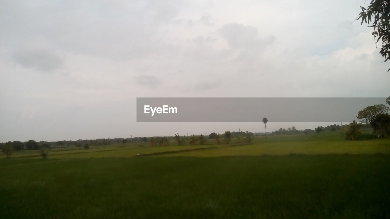 SCENIC VIEW OF LAND AGAINST SKY