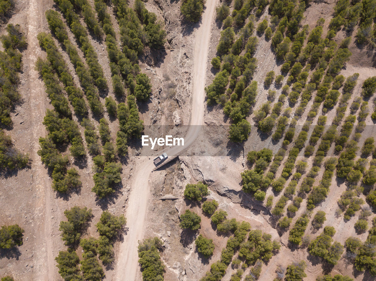 Aerial view of vehicle moving on road amidst trees