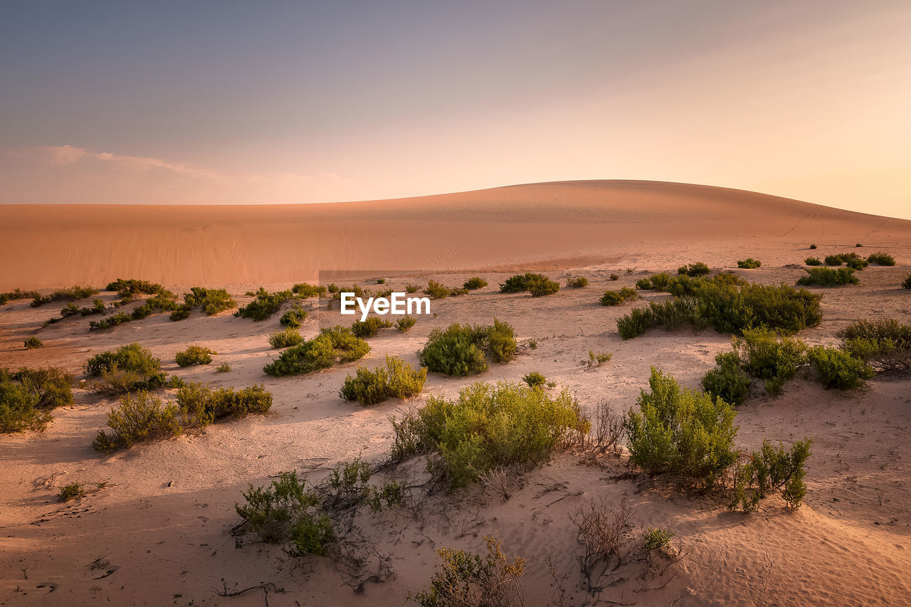 Scenic view of desert against sky during sunset