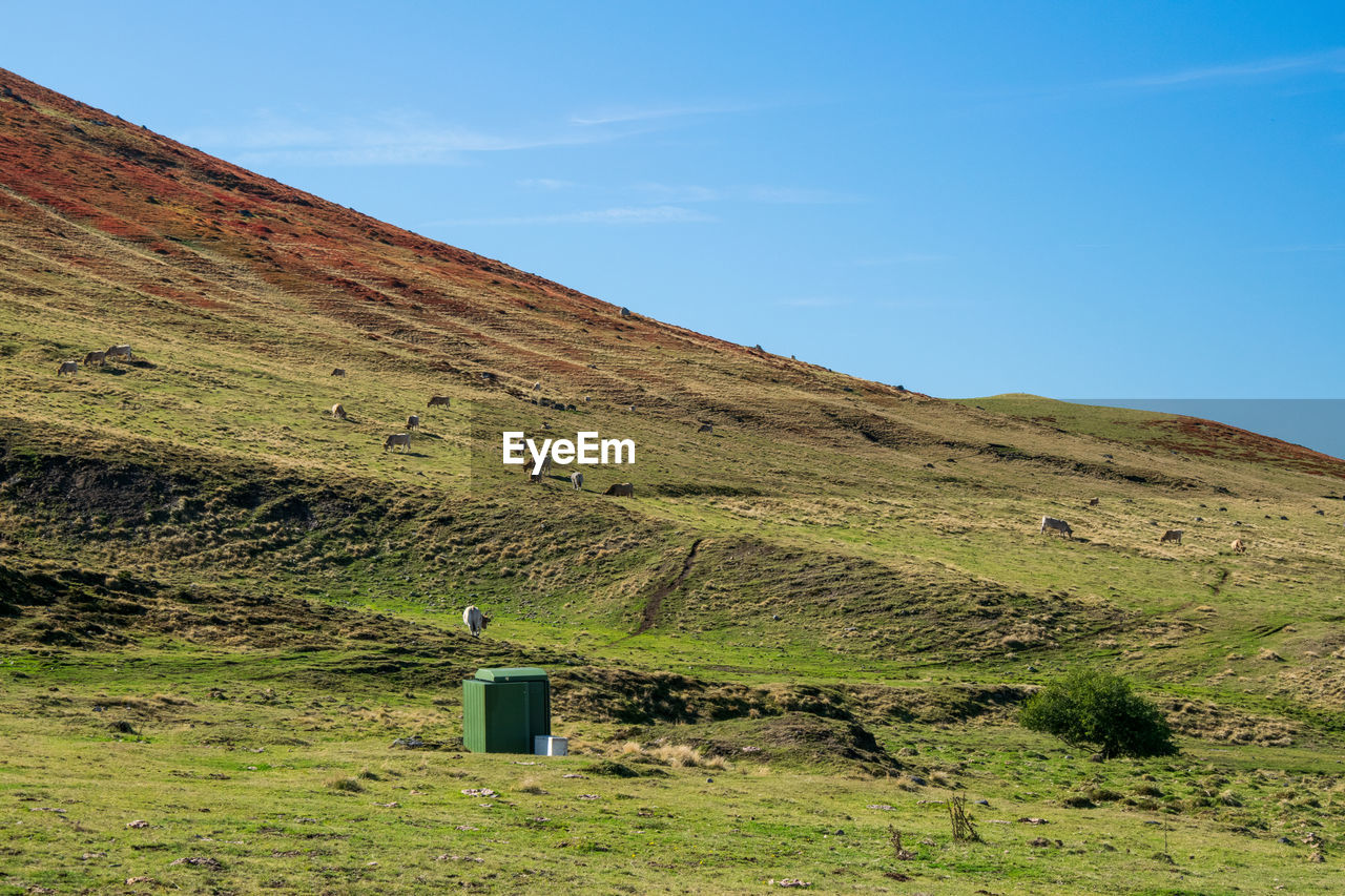 SCENIC VIEW OF LAND AGAINST SKY