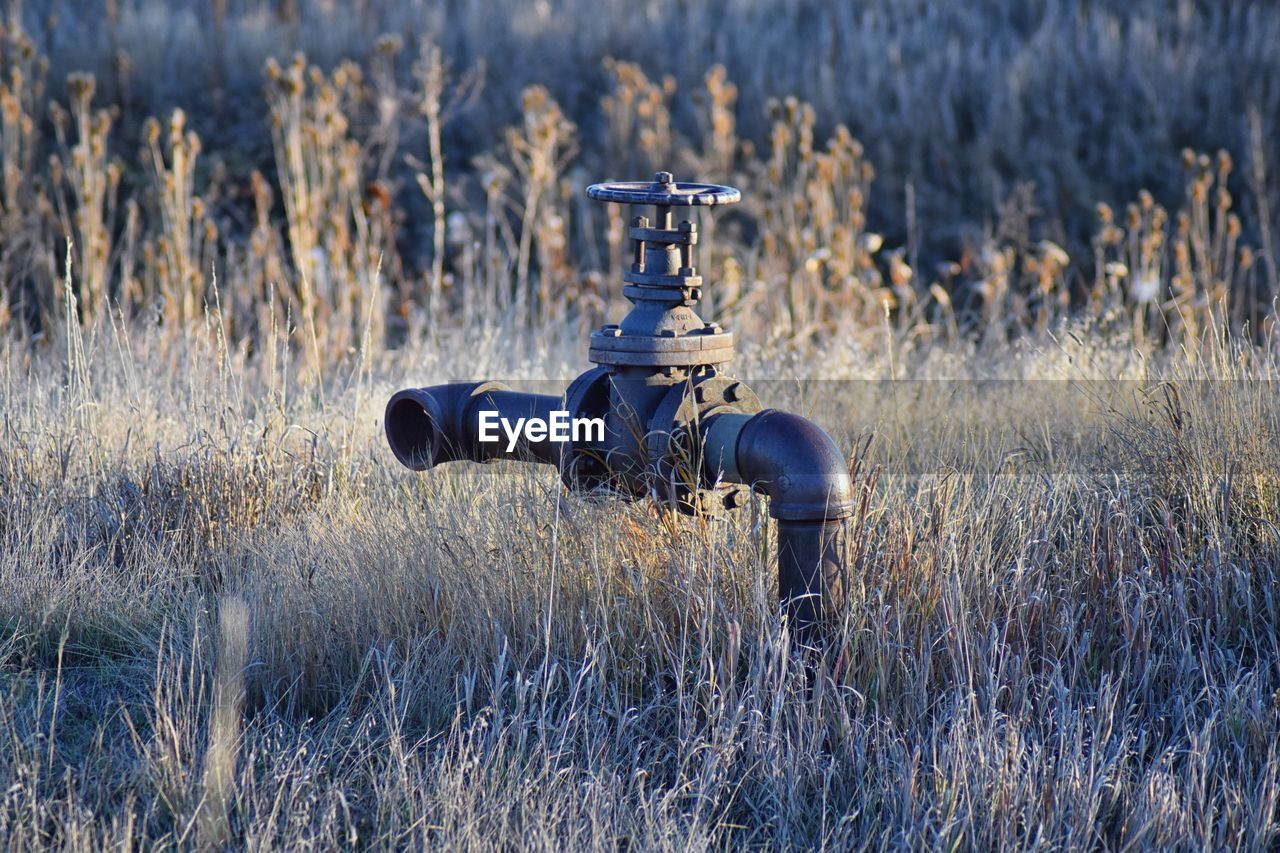 Irrigation pipe  cradleboard trail  carolyn holmberg preserve broomfield colorado united states