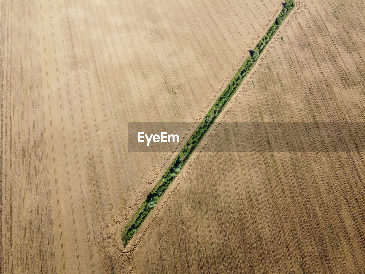 HIGH ANGLE VIEW OF PLANT ON FIELD