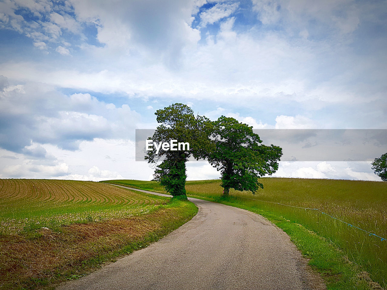 Road amidst trees on field against sky