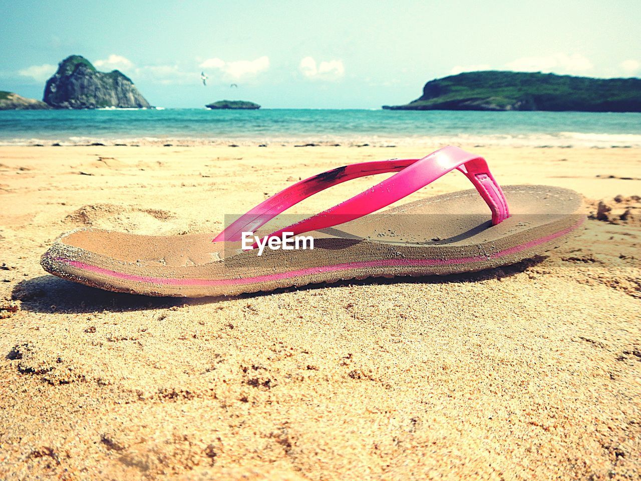 Abandoned flip-flop at beach