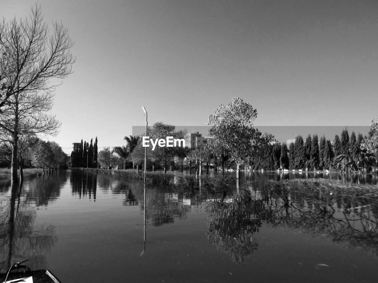 REFLECTION OF TREES IN CALM WATER