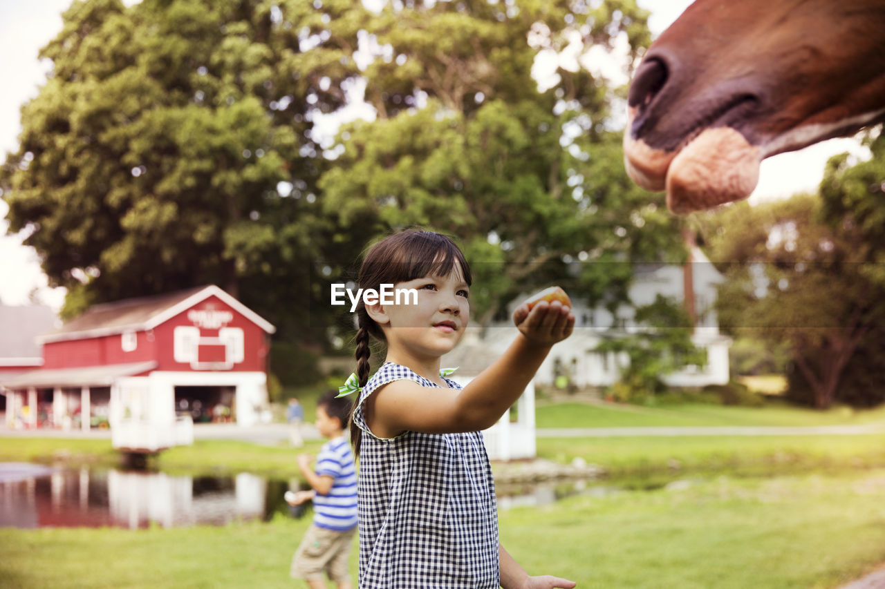 Girl feeding horse while standing in ranch