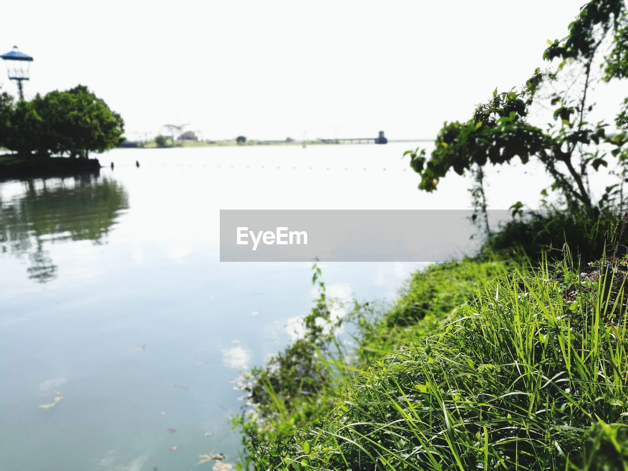 SCENIC VIEW OF LAKE BY TREES AGAINST SKY