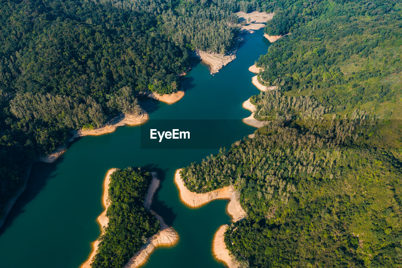 HIGH ANGLE VIEW OF TREES GROWING ON LAND