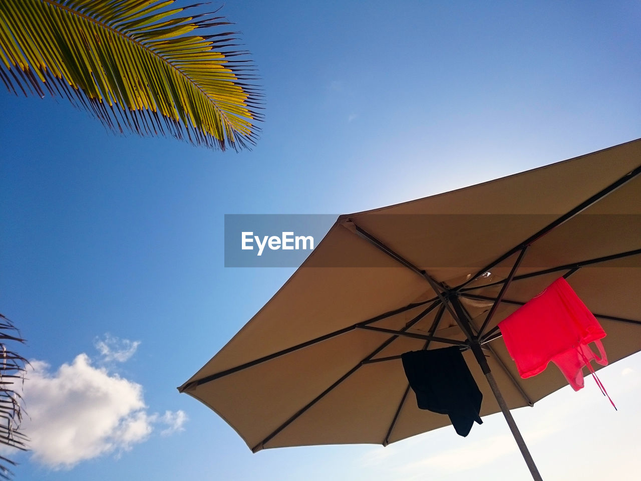 Low angle view of blue sky and umbrella