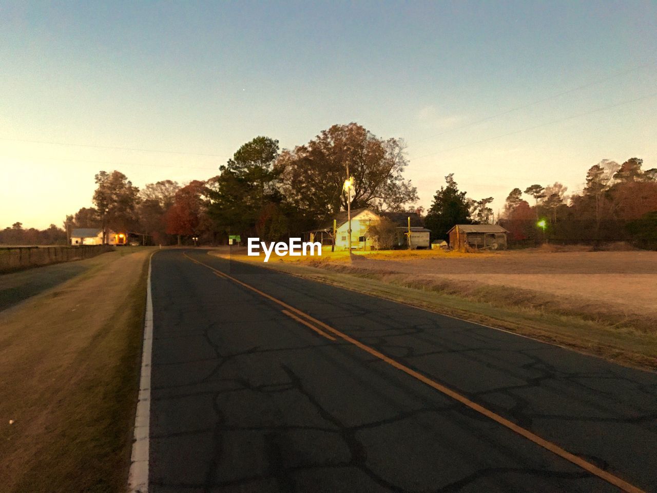 ROAD ALONG TREES