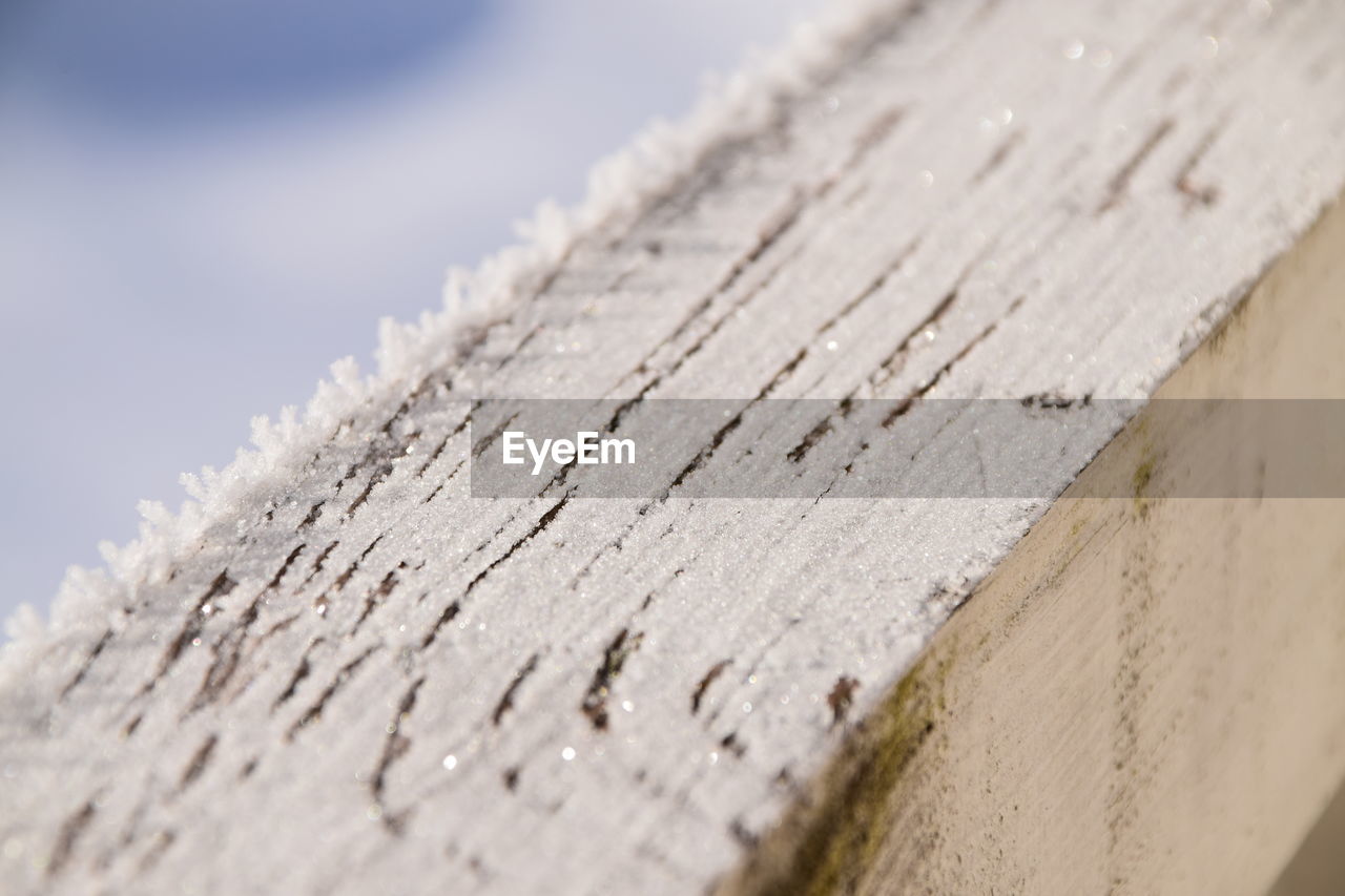 HIGH ANGLE VIEW OF WOOD