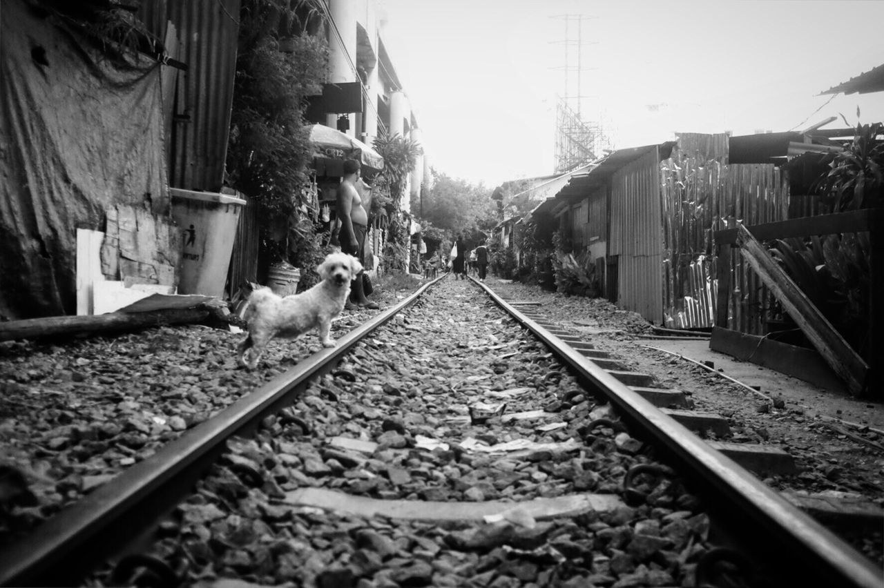 RAILROAD TRACKS AMIDST TRACK