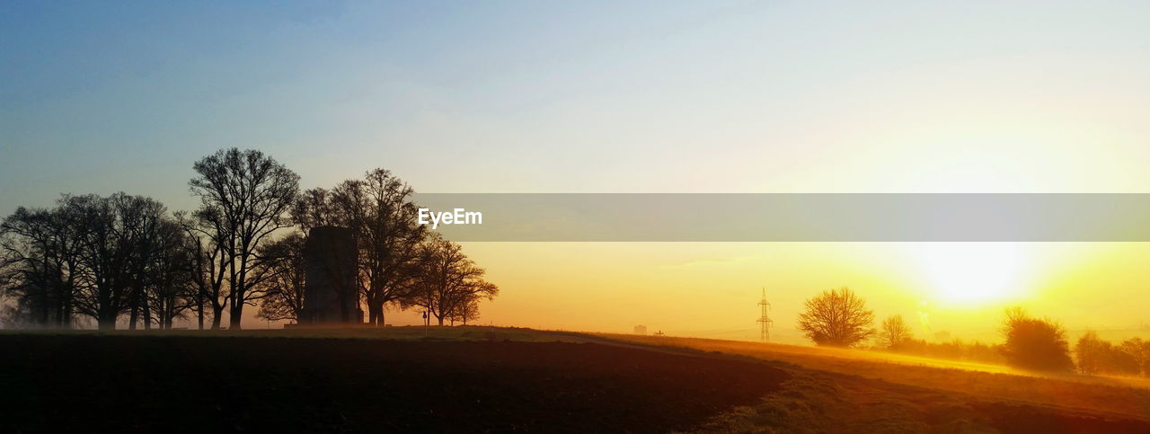 SILHOUETTE TREES ON FIELD AGAINST CLEAR SKY AT SUNSET