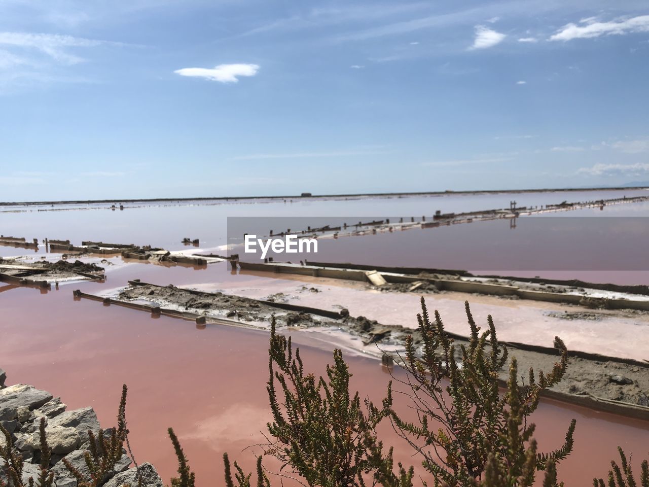 Pink saline basins in gruissan 