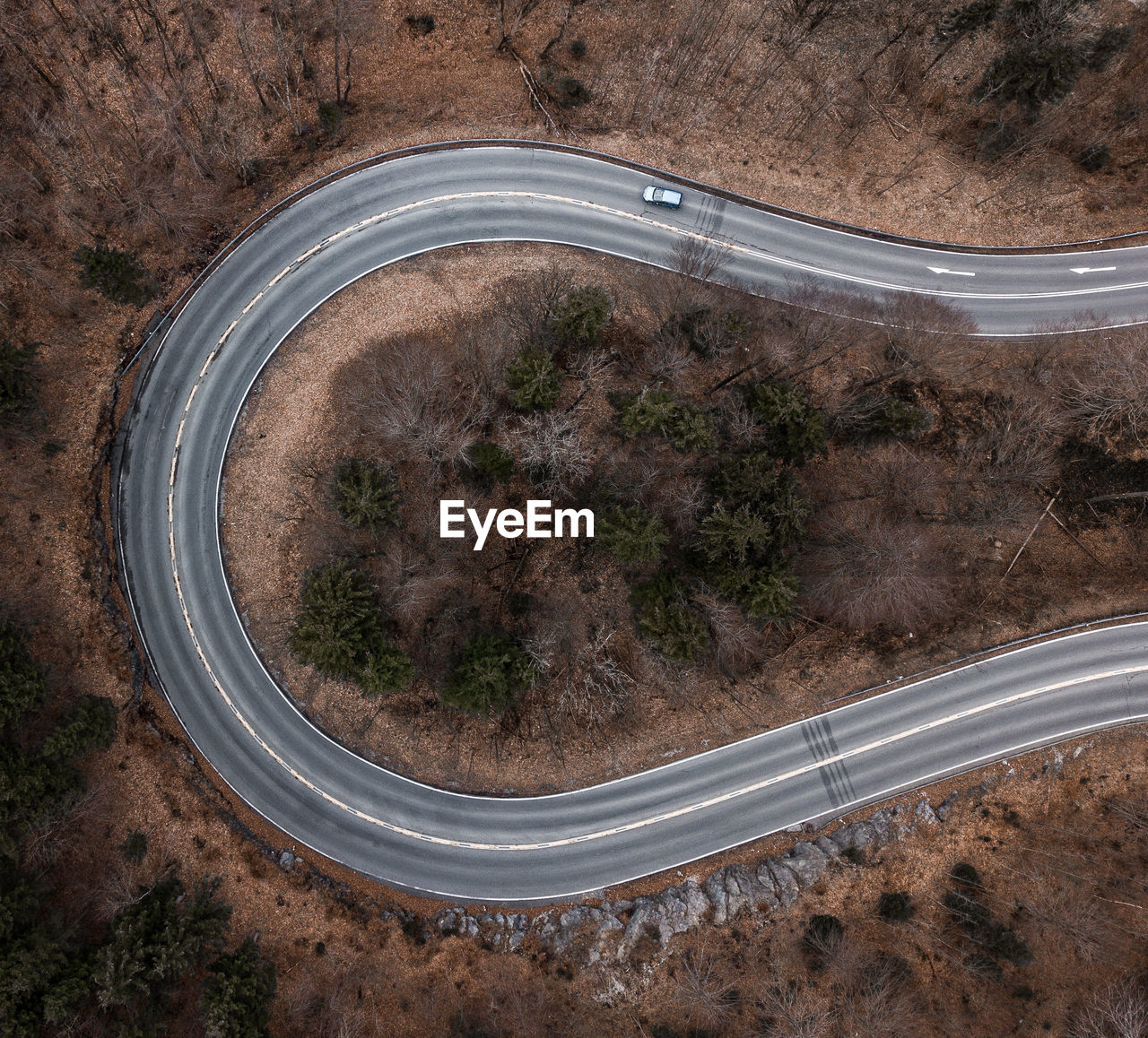 HIGH ANGLE VIEW OF ROAD AMIDST TREES