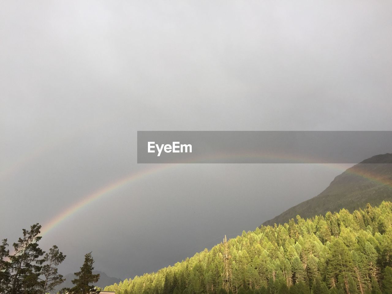 SCENIC VIEW OF RAINBOW OVER TREES AGAINST SKY