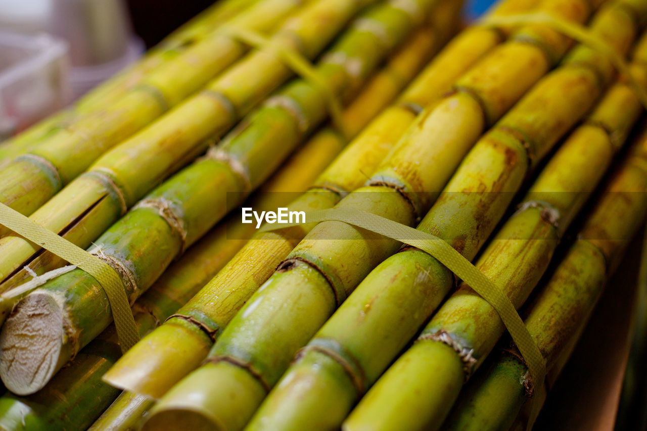 Close-up of sugar canes in market for sale
