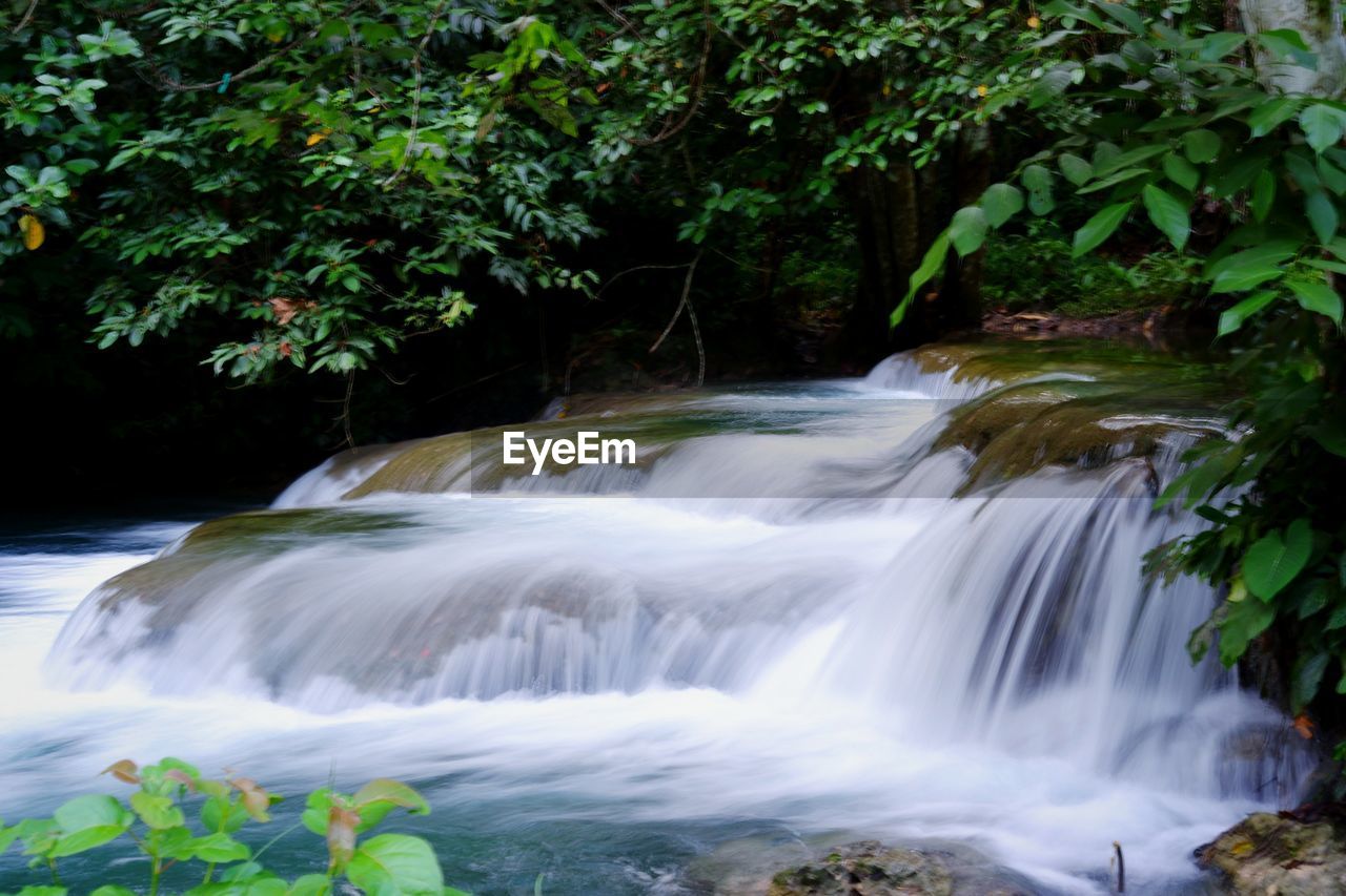 Scenic view of waterfall in forest