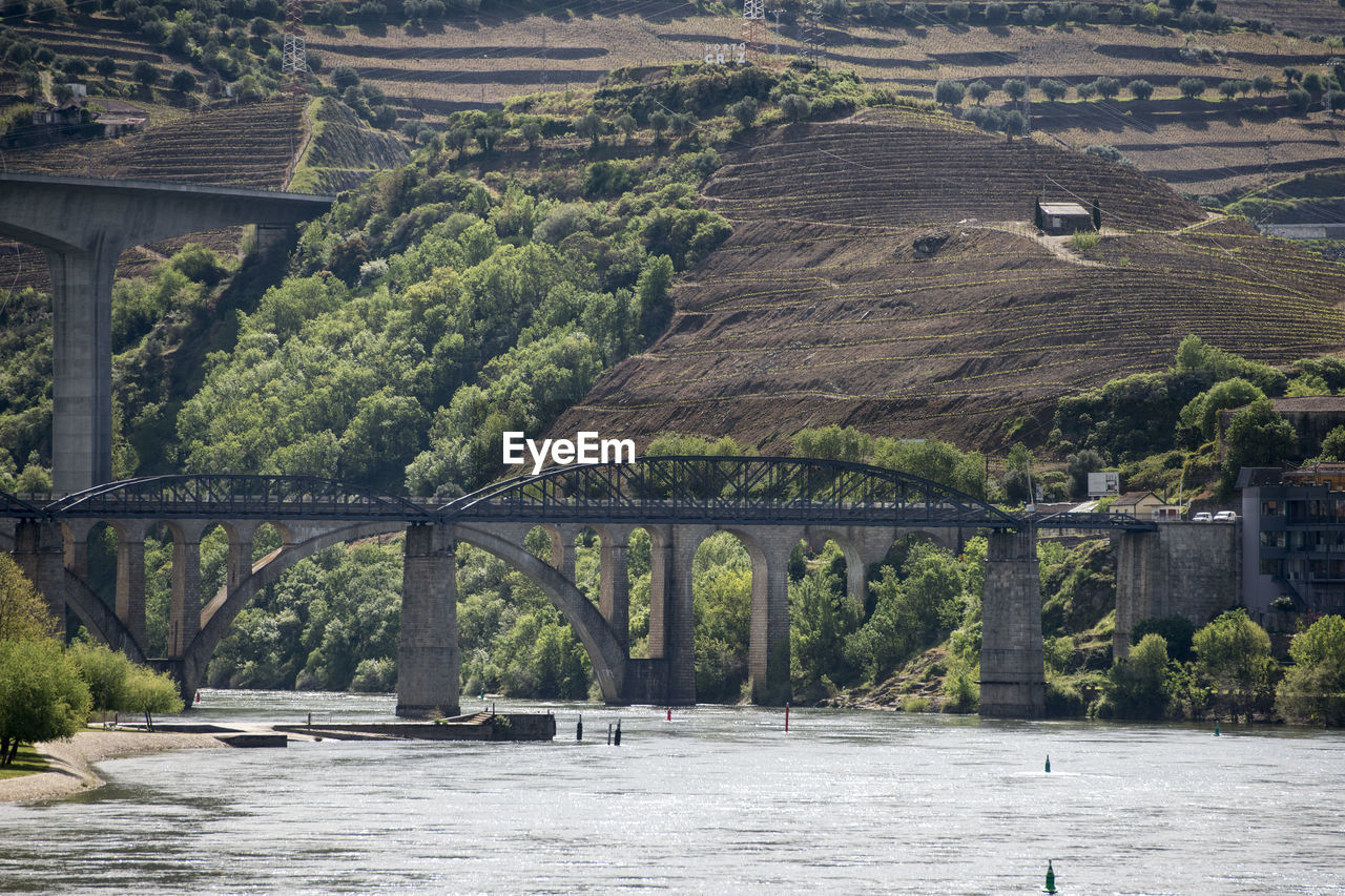 BRIDGE OVER RIVER BY TREES