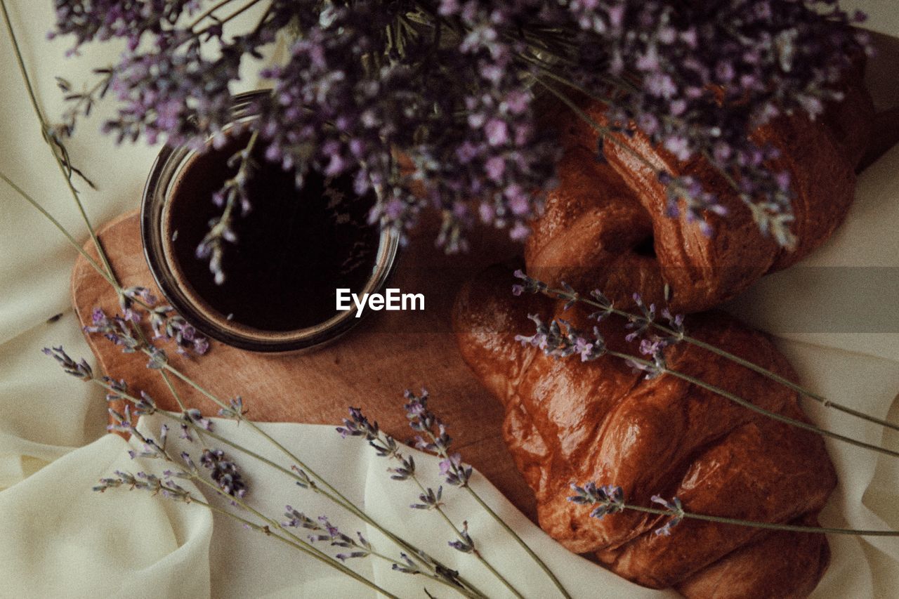 High angle view of purple flowering plant