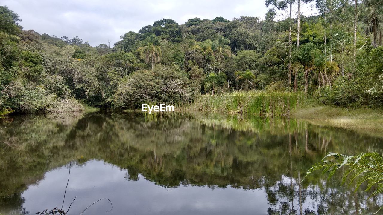 Reflection of trees in lake against sky