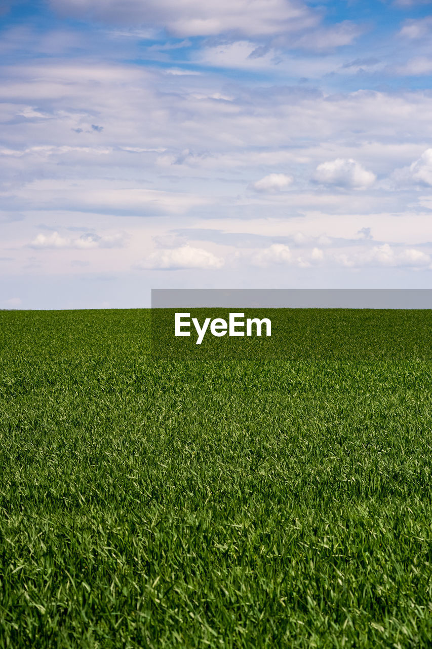 SCENIC VIEW OF FARM AGAINST SKY