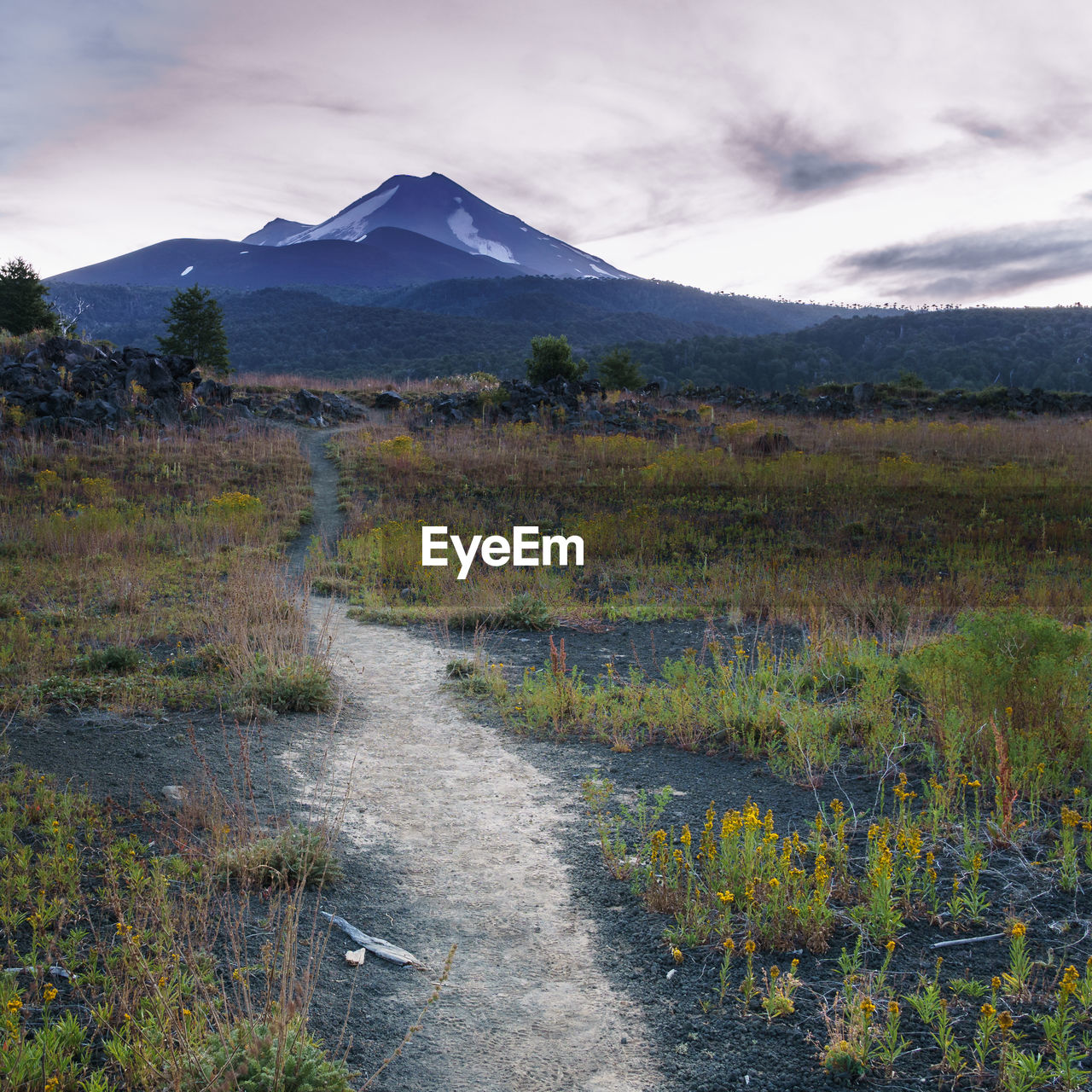 SCENIC VIEW OF LANDSCAPE AND MOUNTAINS AGAINST SKY