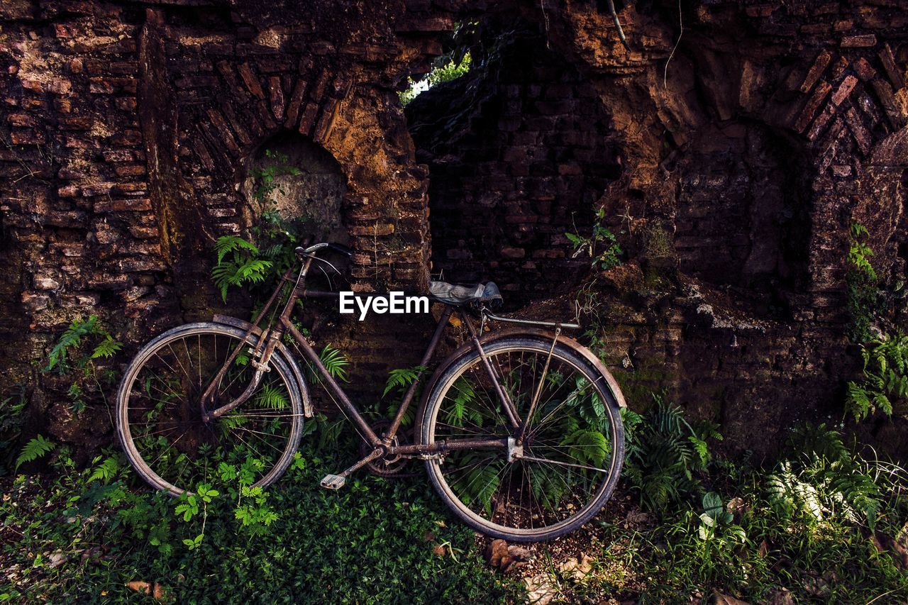 Bicycle parked by tree in forest